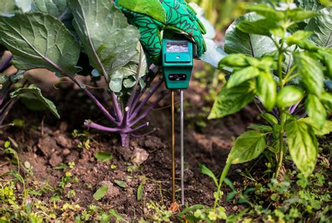 moisture meter agriculture|best soil moisture sensors.